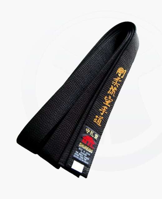 SHUREIDO Dan Gurt Satin mit GOJU RYU Stilbestickung 300cm #5 1/2 300 cm